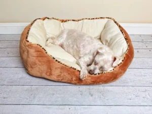 guia negocio camas perro